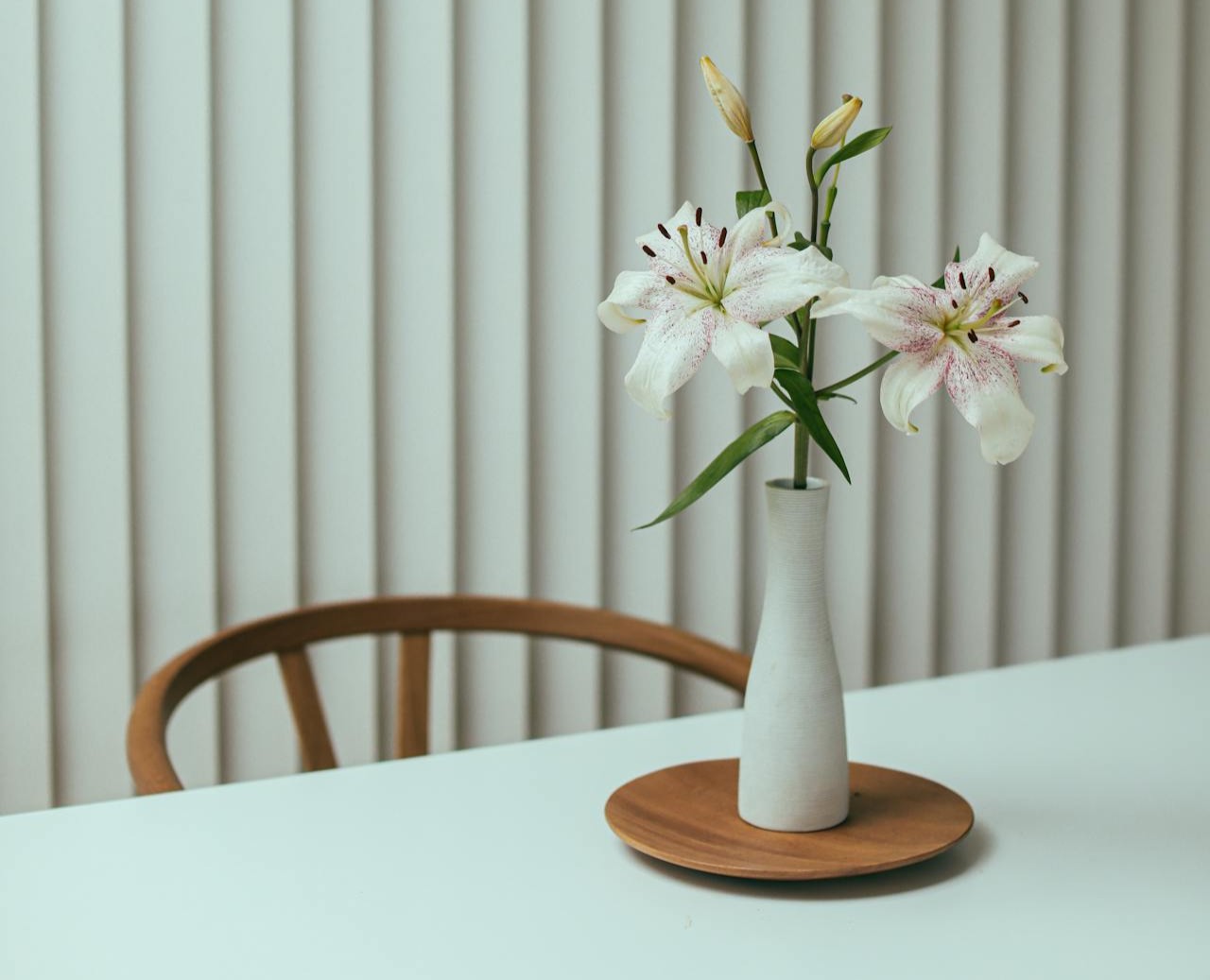 Vertikale Jalousien von Thimyxoleaghep